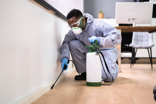 Best Bed Bug Extermination  in Las Lomas, TX